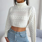 Selena High Neck Sweater
